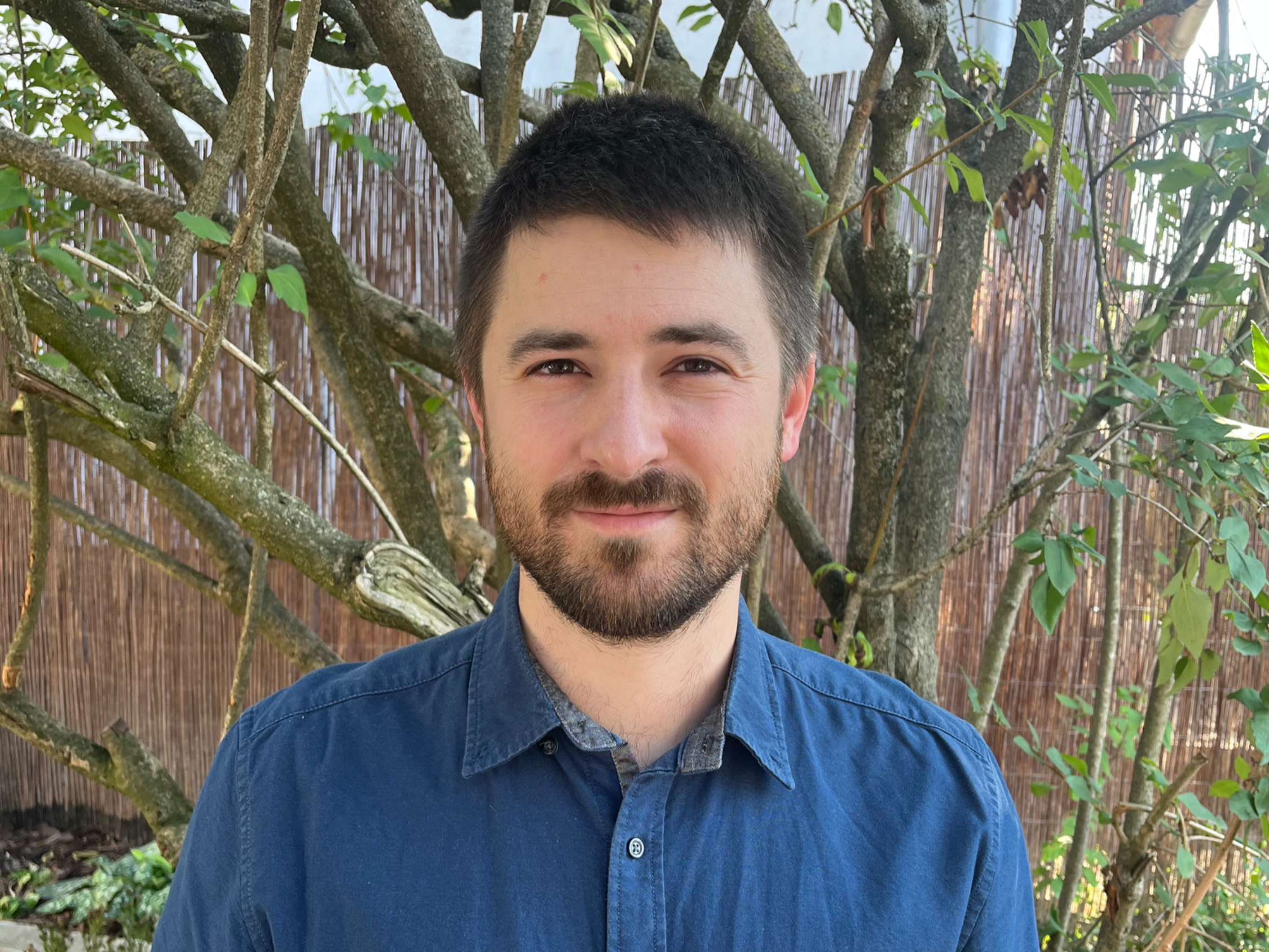 Dr. Hardy Vajk absztrakt foto